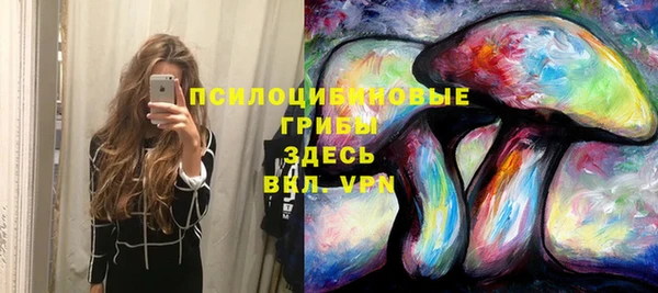 ECSTASY Беломорск