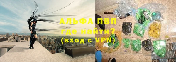 стафф Медногорск