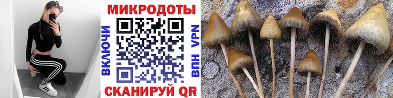 Галлюциногенные грибы прущие грибы  где можно купить наркотик  Бологое 