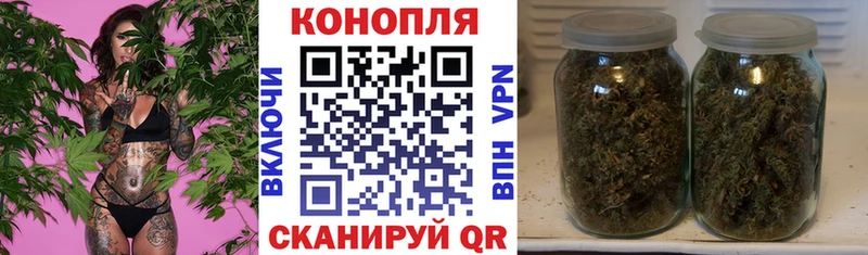 наркошоп  Бологое  Бошки марихуана планчик 